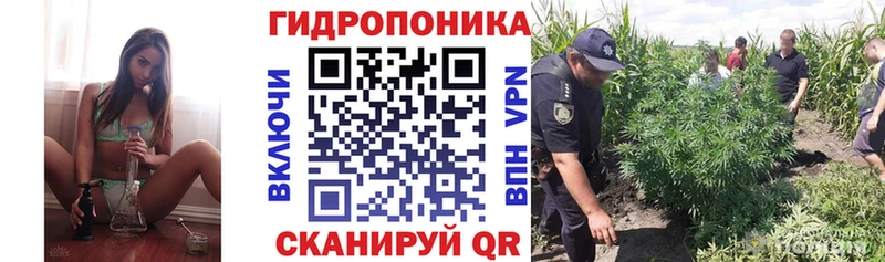 Конопля LSD WEED  Голицыно 